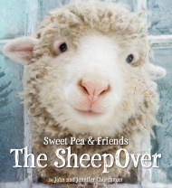 The SheepOver